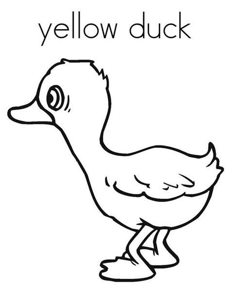 yellow duck coloring page yellow duck bear coloring pages coloring