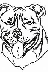 Coloring Pages Dog Doberman Breeds Breed Colouring Getcolorings Popular Template sketch template