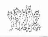 Coloring Wolf Drawing Family Pack Pages Anime Printable Template Realistic Wolves Print Drawings Animal Unknown Werewolf sketch template