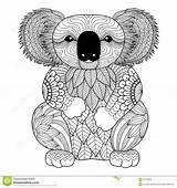 Koala Zentangle sketch template