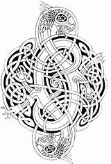 Celtic Coloring Pages Mandala Dragon Adult Dragons Knots Adults Printable Celtique Color Knot Viking Deviantart Designs Dessin Tattoo Drawing Norse sketch template