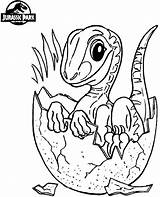 Jurassic Dinosaur Baby Coloring Pages Printable Indoraptor Rex Kids Lego A4 Categories Coloringonly Related sketch template