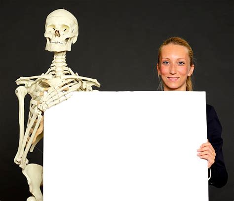 royalty free halloween skeleton holding a blank sign