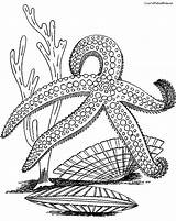 Starfish Coloring Pages Star Sea Fish Color Colouring Printable Print Getcolorings Kids Recommended sketch template