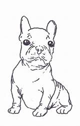 Terrier Bulldog French Colouring Examples Puppy Jenis Dxf Eps Bord sketch template