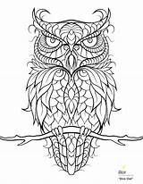 Coloring Snowy Owl Pages Color Getcolorings sketch template
