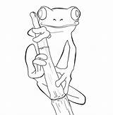 Frog Coloring Dart Poison Pages Getcolorings sketch template