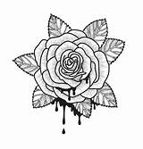 Dekorativer Abbildung Schwarzweiss Stilisierter Grafische Baum Gezeichneten Monochrome Loka Vektorsatz Template Einfarbige Blume Getrennt Rosen Weißem Vektorillustration sketch template