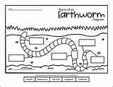 Earthworm Label Cycle Labeling Worm Booklet Labelling sketch template