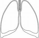 Lung Lungs Clipart Outline Clip Clear Cliparts Clker Human Template Kidney Small Drawing Transparent Vector Coloring Body Ultrasound Library Respiratory sketch template