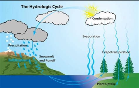 water cycle diagram  explanation class  design talk