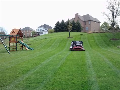 grass cutting lawn maintenance treesdale landscape company