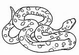 Anaconda Snake Coloring Drawing Mother Pages Sheet Getdrawings Kids Drawings sketch template