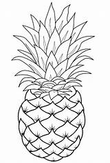 Pineapple Coloring Pages Line Fruit Template Drawings Printable Drawing Easy Pinapple Cute Print Sheets Adult Fruits Choose Board sketch template