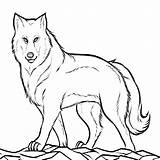 Wolf Coloring Pages Cute Pup Kids Colouring Printable Cub Detailed Print Peter Mom Mother Drawing Color Theme Getdrawings Kid Clyde sketch template