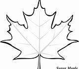 Leaf Maple Drawing Coloring Pages Leaves Autumn Template Canadian Weed Getdrawings Draw Printable Getcolorings Step Colouring Clipartmag sketch template