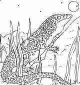 Gecko Coloring Kids Plants Rock Features Making Through Way Its Over sketch template