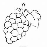 Uvas Uva Grape Grapes Fruit Thenounproject sketch template