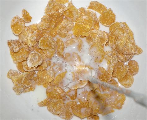 frosted flakes nutrition facts general center steadyhealthcom