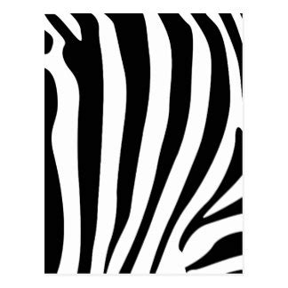 zebra stripe pattern postcards zazzle clipart  clipart