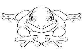 frog coloring pages printable  coloring sheets animal coloring