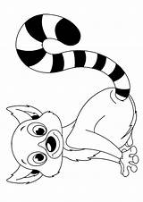 Lemur Baby Coloring Pages Cute Printable Categories Choose Board sketch template