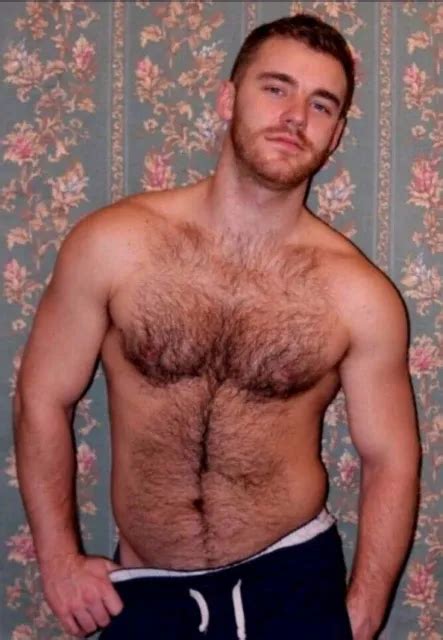 shirtless male muscular beefcake hairy chest abs beard hunk 4x6 photo