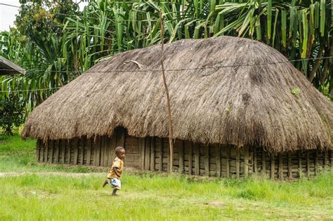 rumah adat papua terpopuler gambarnya lengkap lamudi