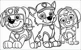 Coloring Paw Patrol Pages Printable Kids Easter Party Print Plaid Color Getcolorings Zumba Pool Zuma Getdrawings Tag Colorings sketch template