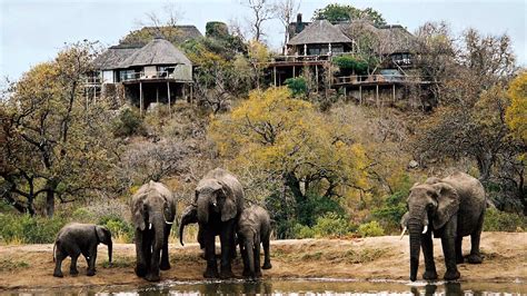 Kruger National Park South Africa Natural World Safaris
