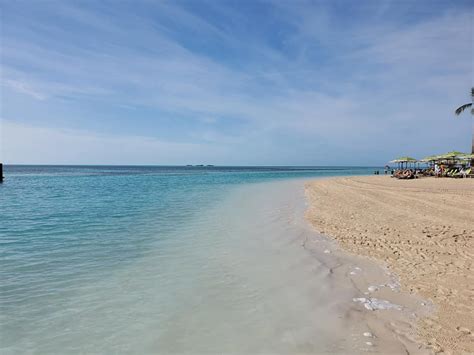 coco beach club opens  perfect day  cococay royal caribbean blog