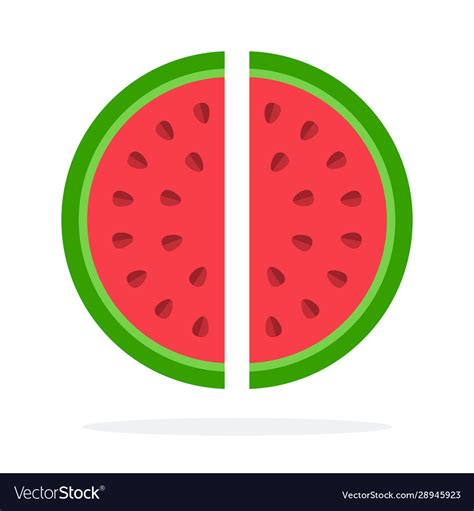 two halves watermelon royalty free vector image