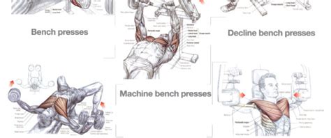 blogarticletriceps and chest workout examples 38 iron