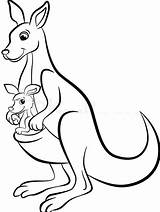 Kangaroo sketch template