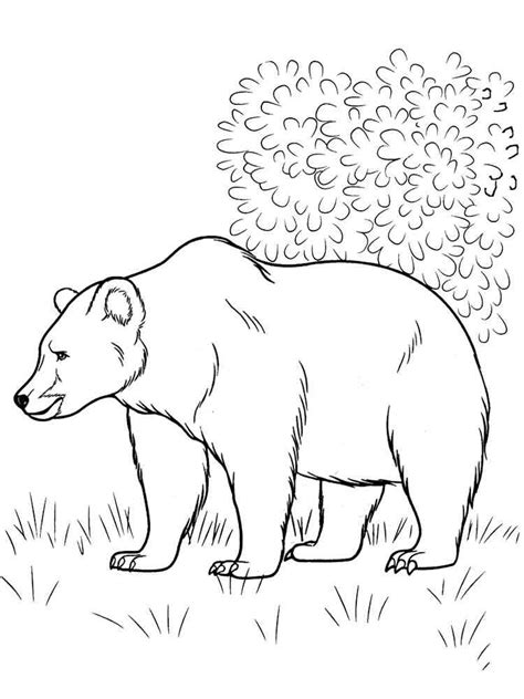 coloring pages forest animals slatelaw