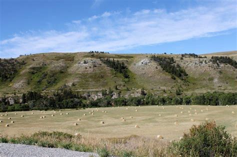 white sulphur springs puts   show central montana