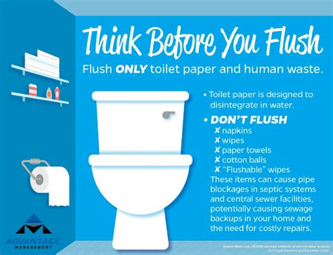 flush protect  pipes advantage management flush