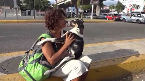 Collection Of Mujer Se Queda Abotonada Con Perro Videos