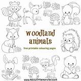 Woodland Colouring Animal Pages Animals Coloring Forest Color Templates Printables Kids Printable Cute Creatures Print Sheets Little Raccoon Activity Craft sketch template