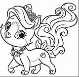 Pomeranian Coloring Pages Puppy Cute Printable Getcolorings Color Pets sketch template