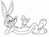 Bunny Bugs Coloring Carrot Lengthened Drawings Drawing Getdrawings sketch template
