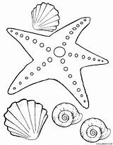 Coloring Starfish Pages Star Fish Sea Kids Printable Drawing Ocean Invertebrates Color Sheet Adults Getcolorings Cool2bkids Adult Clipart Twinkle Print sketch template
