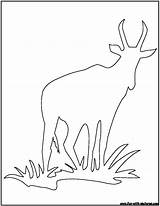 Outline Waterbuck Coloring African Animal Outlines Pages Fun Rhino Colouring sketch template