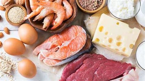 Five Common Myths About Protein Busted Newsbytes