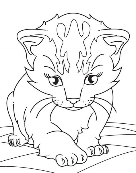 realistic animal coloring pages coloring cool