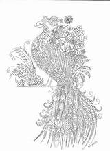Coloring Pages Grown Ups Paon Zentangle Bird sketch template