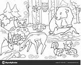 Coloring Krajobraz Forest Animals Landscape Adults Pages Colorare Da Kolorowanki Deer Illustration Immagini Bear Per Las Zwierzęta Animal Foresta Scene sketch template