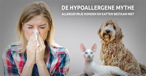 maak een einde aan de hypoallergene mythe dierrecht