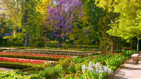 Visita Guiada Al Real Jardín Botánico – Aepuma