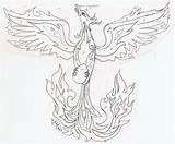Phoenix Drawing Pages Coloring Elusive Evolution Draw Sketch Fawkes Template Outlines Step Sketched Wings 2010 Getdrawings July sketch template